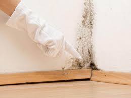 Best Real Estate Mold Inspection  in Victory Lakes, NJ